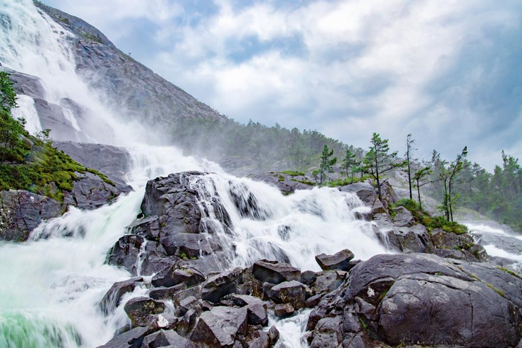 landscape+nature (6)